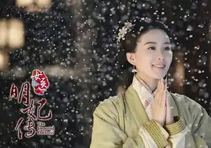 女医明妃传结局引热议刘诗诗化身男神收割机组图
