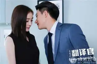 翻译官双网齐破2杨幂黄轩意外初吻甜酥网友
