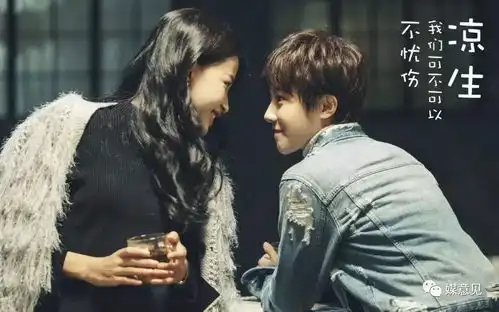 媒意见视点在合作中竞争论视频网站与广电媒体的共生