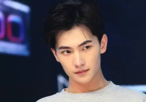 网传你是我的荣耀定角,暂定杨洋迪丽热巴,网友溜粉