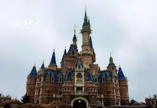 一次都要玩儿够上海迪士尼项目推荐