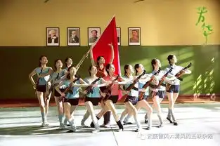 芳华隐喻支撑的反思