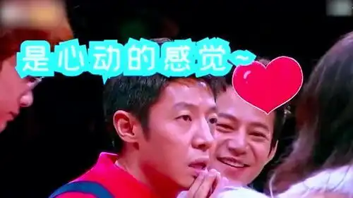 明星大侦探那些接梗名场面,撒贝宁芳心纵火犯的表现堪称一绝,王鸥脸都红了
