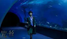 电影文章热门排列大陆verycd娱乐大全
