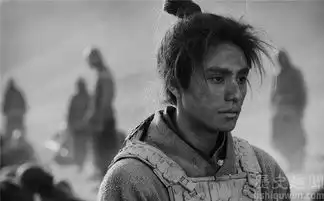 木兰诗内容介绍