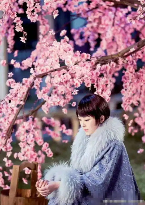 南烟斋笔录众女配上线,张含韵清新淡雅最美还是她