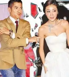 一开始就不被祝福,最后不欢而散的6对明星
