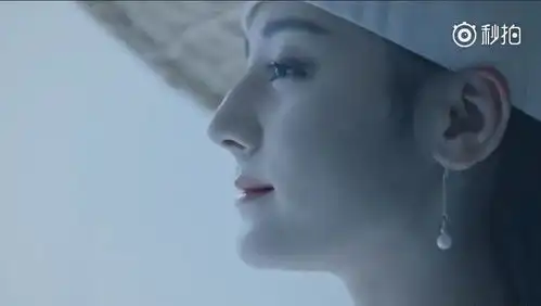 花式安利这一对儿鹅觉得怎么样