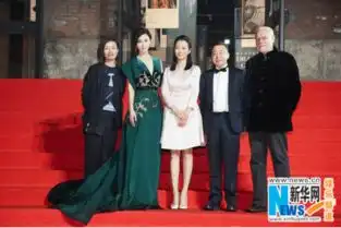 范冰冰担任形象大使助力首届平遥国际电影展
