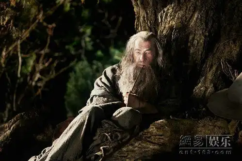 霍比特人重返中土与指环王关联密切
