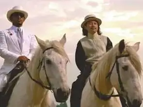 还记得让子弹飞中帅气的骏马它的服装师就在咱大连
