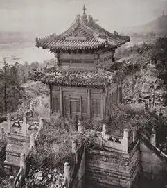 回顾老照片
