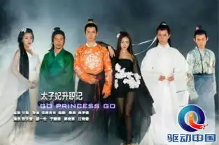 太子妃升职记意外爆红乐视的另类营销定位
