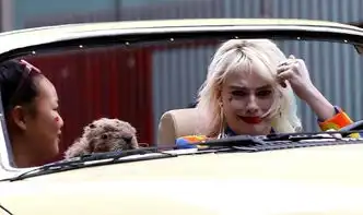 猛禽小队曝小丑女造型玛格特罗比片场痛哭