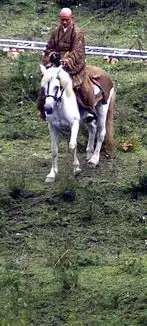 张纪中版西游记造型雷人网友狠批
