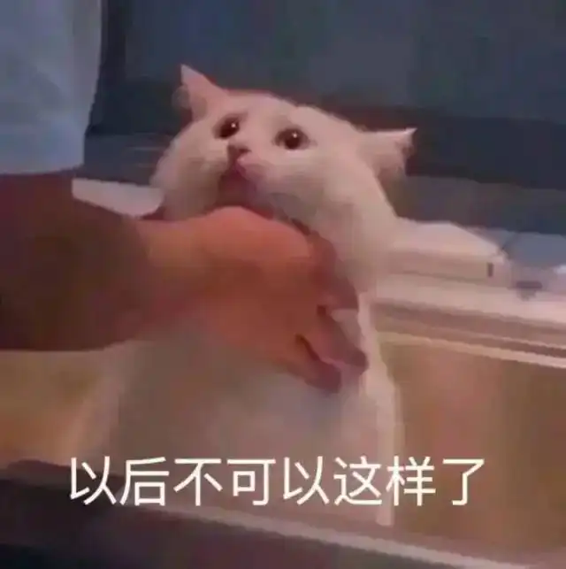 表情包眼睛瞪得像铜铃