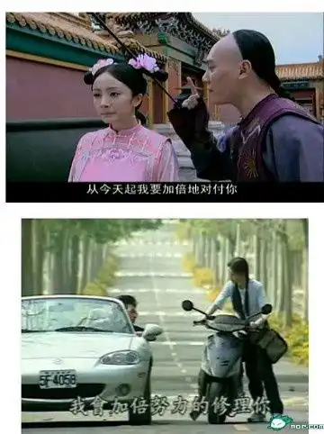 我的收藏
