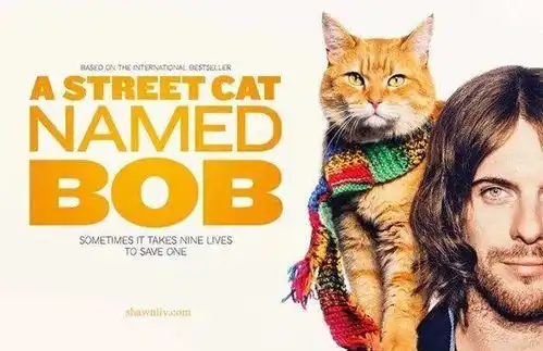 拯救瘾君子主人的流浪猫鲍勃它走了