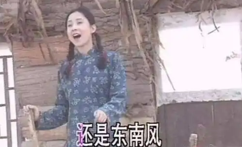 53岁田震近况,曾模仿邓丽君因铿锵玫瑰爆红,后因患病致不孕
