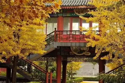 秋日余额已不足5个超棒的旅行体验,让你不负时光

