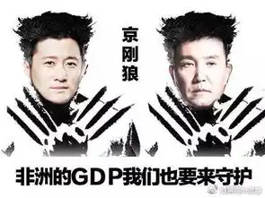 功夫小子化身非洲孤胆英雄,赞
