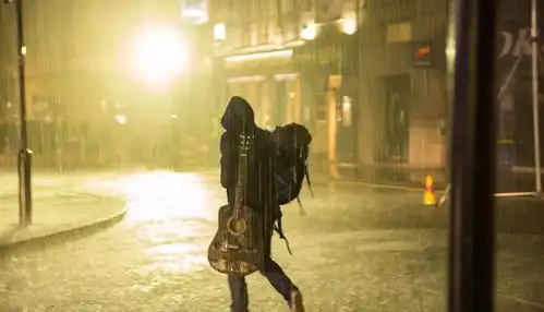 流浪猫鲍勃一个瘾君子和一只流浪猫之间的暖心故事