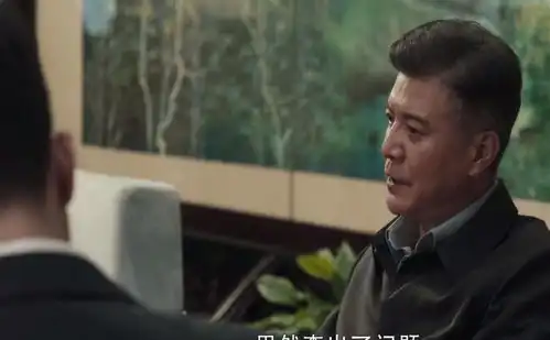 扫黑风暴宋涛落网,何勇给贺云下套,马帅死因大白,阳子遭怀疑