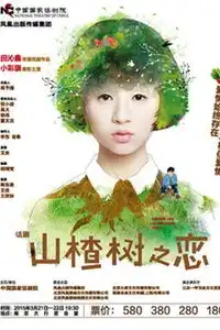 田沁鑫戏剧作品山楂树之恋
