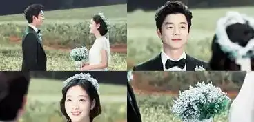 天天向上取景地女神王鸥都爱的花田,竟然就藏在我大广西