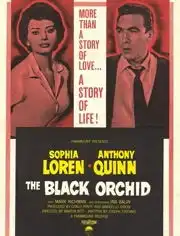 索菲娅罗兰明星资料大全索菲娅罗兰动态索菲娅罗兰电视剧电影爱奇艺泡泡
