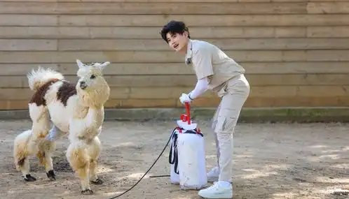 人间清醒任嘉伦不炒作,无绯闻,连眼神都是戏