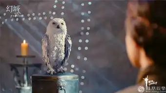 湖南卫视幻城成萌宠集中营雪狮表情包走红