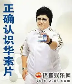 明星土到掉渣广告照汤唯似村姑李宇春雷人