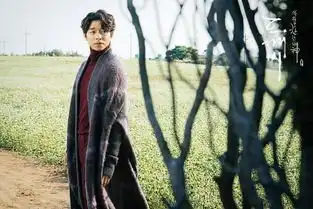 李敏镐朴海镇重返荧屏全智贤婚后复出首剧组图