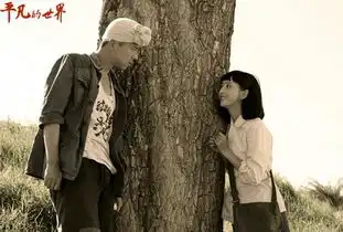 平凡的世界海量曝光剧照剧情介绍佟丽娅文艺美丽袁弘不靠脸图