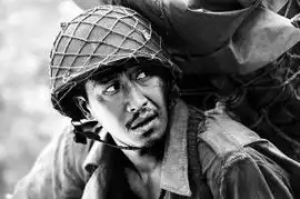 团长前期剪辑张国强比士兵突击好看
