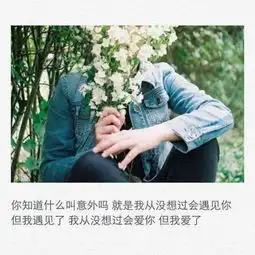 你给的嬉笑太盛于是无人在意我的心酸
