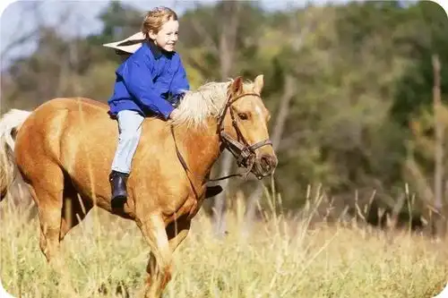 育儿趣事妈妈问孩子爸爸有何特点,孩子张口就来,全家人都笑了
