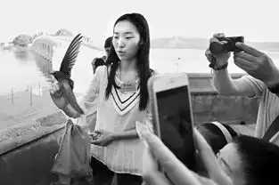 颐和园雨燕开始年度体检十余项数据记录雨燕生存状态