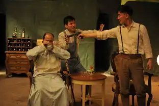 双城计中计剧照59