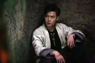 独家视频张铭恩少年顽主