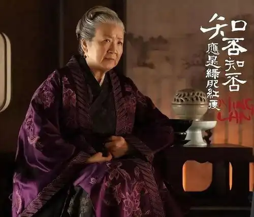 知否原著为何说两次回宥阳的盛老太太,把好藏起来了
