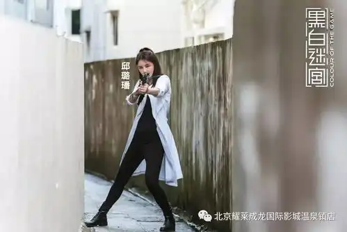 黑白迷宫古惑仔集结归来
