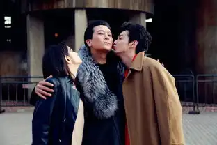 不舍灵摆完结季三年留下无数感动
