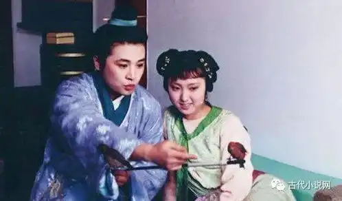 人生如梦,人生如戏再说红楼画蔷
