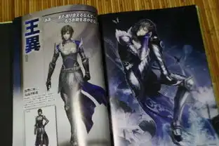 美女诱惑风姿无限真三国无双7武将原画欣赏
