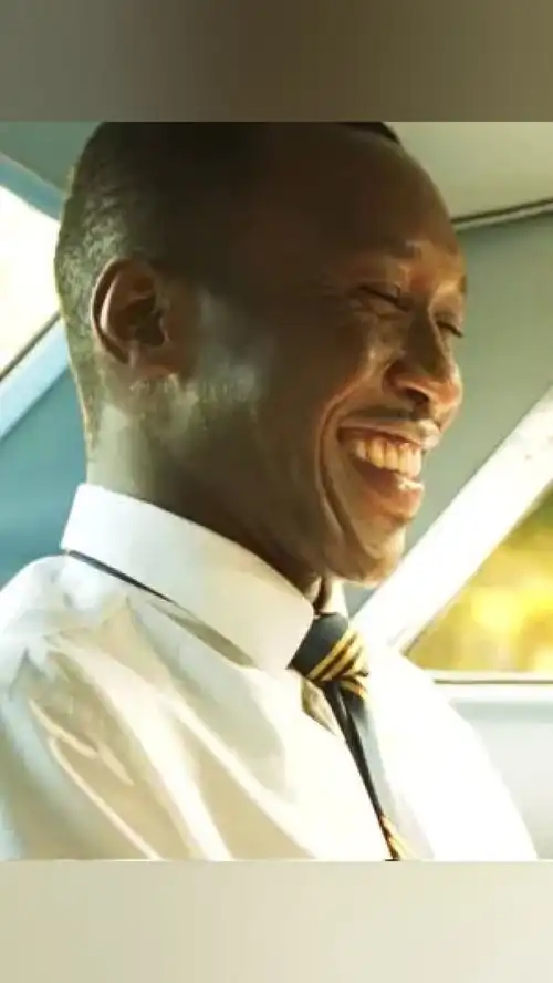 与你相爱,是我所做过最轻松的事绿皮书电影爱情影视剪辑
