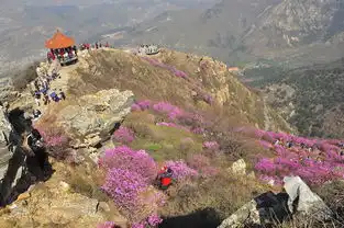 辽宁社区图片集锦
