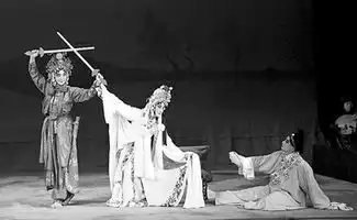 5条白蛇扮相俊俏青年京昆剧团征服香港观众
