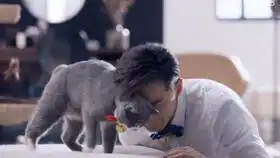 胡歌歌演绎王家卫经典电影台词